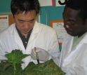 Researchers with plant that they studied.
