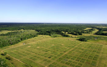 Photo of prairies and forests in the NSF Cedar Creek LTER site.