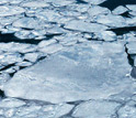 Photo of rounded pieces of Arctic ice.