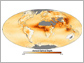 Image showing the annual mean aerosol optical depth for 2006.