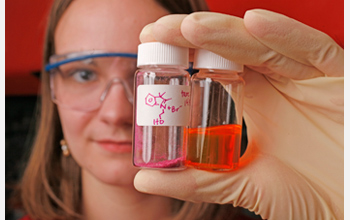 Photo of Deana Hadley displaying bottles of conjugated polymers.