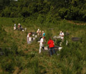 Scientists collect samples from the pond array.