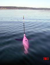 Underwater Gliders for Ocean Climate Observations