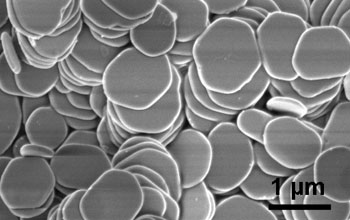 Micrograph image of alpha-Zirconium phosphate micro-crystals.