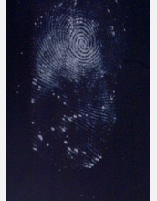 This thumbprint appeared after researchers sprayed it with a super glue.