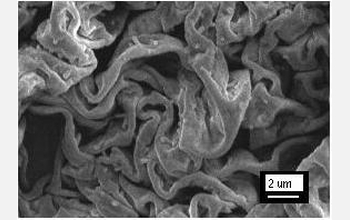 Researchers used the chemical reaction to create "tortellini-like" polymer films.