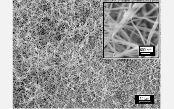 The researchers grew these polymer nanofibers using a synthetic starting mixture.
