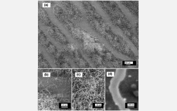 Scanning electron microscope images of nanofibers of poly (ethyl 2-cyanoacrylate)