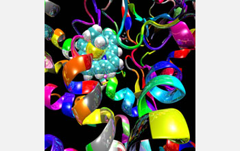 A protein-binding model of cytochrome P450, a heme enzyme responsible for drug metabolism.