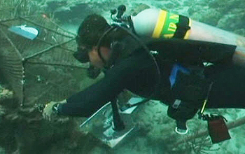 Ayana Johnson diving to check fish trap