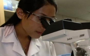 Researcher looking into microscope