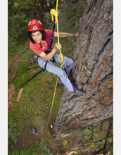 Photo of Nalini Nadkarni scaling an old-growth Douglas-fir tree in the Cascade Mountains.