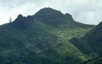 El Yunque and East Peak covered with forest