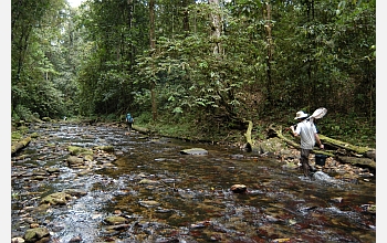 FIBR scientists will study ecology and evolution in Trinidad streams.