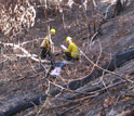 Two researchers in the forest conducting a post-fire survey
