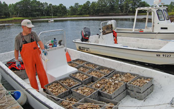 Man with oyster shells in a boat on water