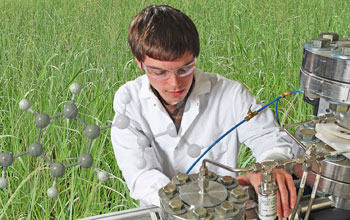 Composite image of switchgrass, lab research and molecule.