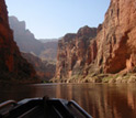 Photo of scientist John Sabo navigating a Grand Canyon study site with rapids in the background.