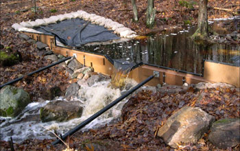 Photo of a weir placed at NSF's Harvard Forest Long-Term Ecological Research site.