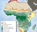 Map showing vegetation of Africa.