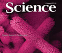 Cover of the February 4, 2011 issue of the journal Science.