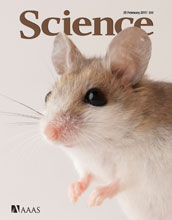 Cover of the February 25, 2011 issue of the journal Science.