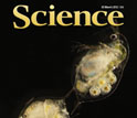 Cover of the March 30, 2012 issue of the journal Science.
