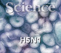 Cover of the June 22, 2012 issue of the journal Science.