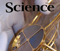 Cover of the June 24, 2011 issue of the journal Science.