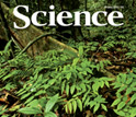 Cover of the July 16, 2010 issue of the journal Science.