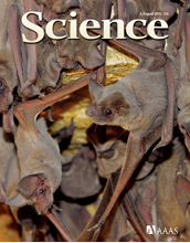 Cover of the August 6, 2010 issue of the journal Science.