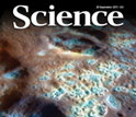 Cover of the September 30, 2011 issue of the journal Science.
