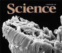 Cover of the October 7, 2011 issue of the journal Science.