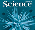 Cover of the October 15, 2010 issue of the journal Science.