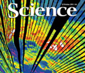 Cover of the October 22, 2010 issue of the journal Science.