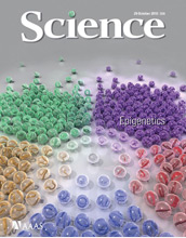 Cover of the October 29, 2010 issue of the journal Science.