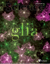 Cover of the November 5, 2010 issue of the journal Science.