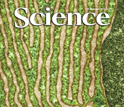 Cover of the November 25, 2011 issue of the journal Science
