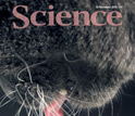 Cover of the Nov. 26, 2010 issue of Science.