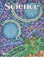 the Dec. 3, 2010 Science cover.