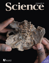 Cover of the journal Science showing two hands holding a bone structure