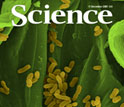 Cover of December 11, 2009 journal Science.