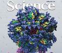 The researchers' results are described in the May 10th issue of the journal Science.