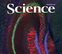 cover of journal Science july 27 2013