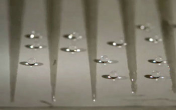 magnified water droplets
