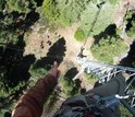 a scientist seen high atop of the tree canopy.