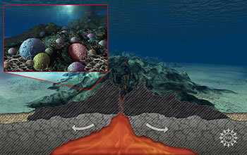 Scientists have found that rocks beneath the seafloor are teeming with microbial life
