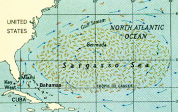 Map of the Caribbean Sea and North Atlantic Ocean showing the location of the Sargasso Sea.