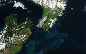 Aerial image of blooms of phytoplankton forming sea-swirls near New Zealand coast.
