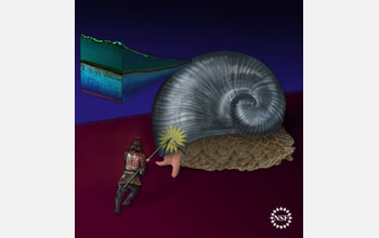 Illustration showing the coat that protects a deep-sea gastropod from a knight's lance.